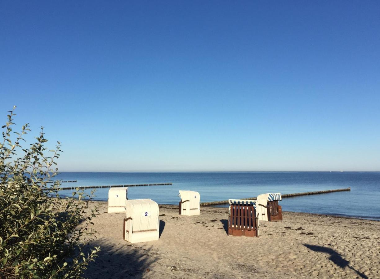 Aparthotel Waterkant Suites - Fewos Am Meer Mit Spa Börgerende-Rethwisch 外观 照片