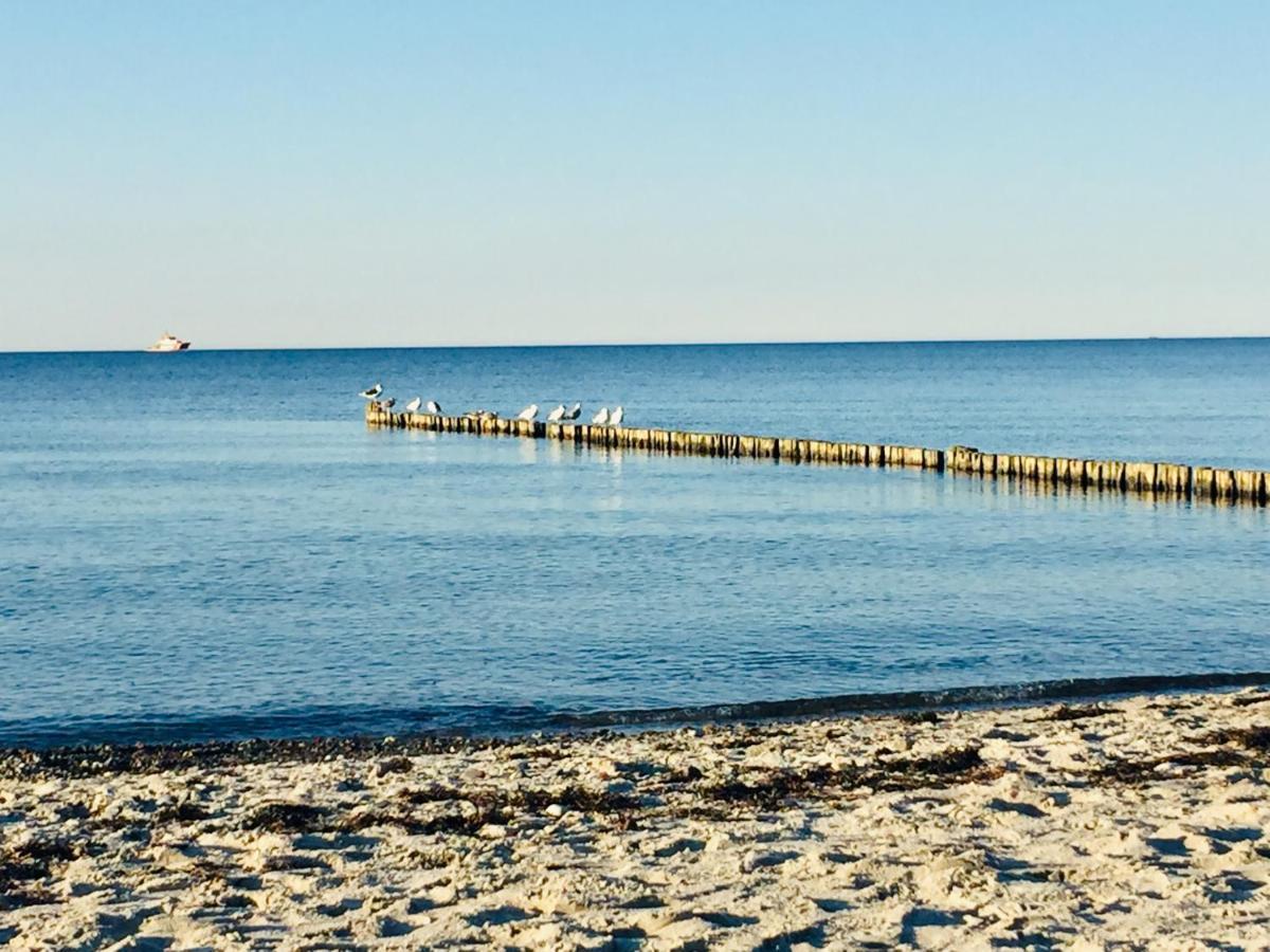 Aparthotel Waterkant Suites - Fewos Am Meer Mit Spa Börgerende-Rethwisch 外观 照片